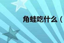 角蛙吃什么（角蛙喜欢吃什么）