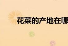 花菜的产地在哪里最好（花菜产地）