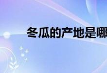 冬瓜的产地是哪里的（冬瓜的产地）