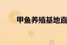 甲鱼养殖基地直播（甲鱼养殖基地）