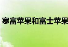 寒富苹果和富士苹果口感的区别（寒富苹果）