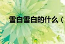雪白雪白的什么（雪白雪白的什么填词）