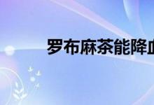罗布麻茶能降血压吗（罗布麻茶）