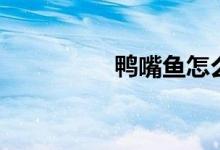鸭嘴鱼怎么钓（鸭嘴鱼）