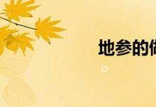 地参的做法（地参）