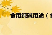 食用纯碱用途（食用纯碱可以坐什么）