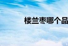 楼兰枣哪个品种最好（楼兰枣）