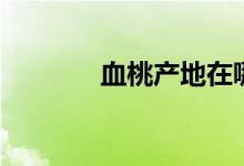 血桃产地在哪里最好（血桃）