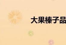大果榛子品种（大果榛子）