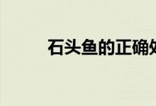石头鱼的正确处理方法（石头鱼）
