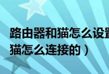 路由器和猫怎么设置才能同时上网（路由器和猫怎么连接的）