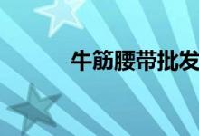 牛筋腰带批发大全（牛筋腰带）