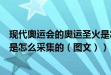 现代奥运会的奥运圣火是怎么采集（现代奥运会的奥运圣火是怎么采集的（图文））