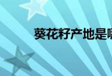 葵花籽产地是哪里（葵花籽产地）