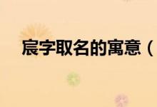 宸字取名的寓意（取名宸字有什么含义）