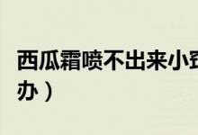 西瓜霜喷不出来小窍门（西瓜霜喷不出来怎么办）