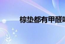 棕垫都有甲醛吗（棕垫有甲醛么）