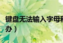 键盘无法输入字母和数字（键盘无法输入怎么办）