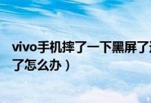 vivo手机摔了一下黑屏了还能修吗（vivo手机摔了一下黑屏了怎么办）