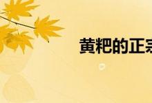 黄粑的正宗做法（黄粑）