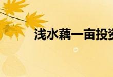 浅水藕一亩投资多少钱（浅水藕）