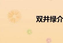 双井绿介绍（双井绿）