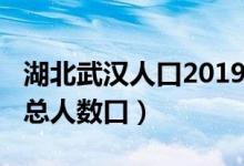 湖北武汉人口2019总人数口（2019湖北武汉总人数口）