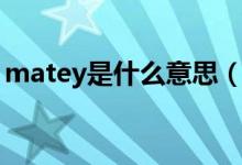 matey是什么意思（matey是什么意思中文）