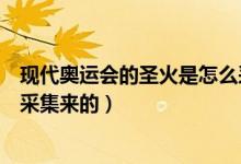 现代奥运会的圣火是怎么采集的（现代奥运会的圣火是怎么采集来的）