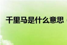 千里马是什么意思（千里马是指什么意思）