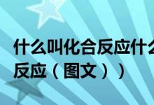 什么叫化合反应什么叫分解反应（什么叫化合反应（图文））