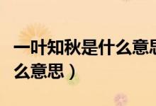 一叶知秋是什么意思百度汉语（一叶知秋是什么意思）
