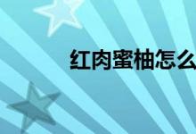 红肉蜜柚怎么挑选（红肉蜜柚）
