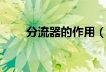 分流器的作用（分流器有什么作用）