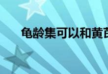龟龄集可以和黄芪一起吃吗（龟苓集）