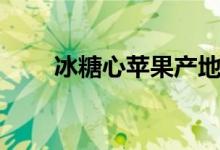 冰糖心苹果产地批发（冰糖心苹果）