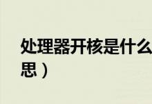 处理器开核是什么意思（CPU开核是什么意思）