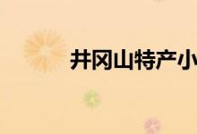 井冈山特产小吃（井冈山特产）