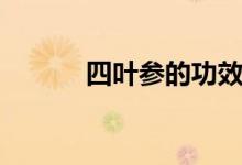四叶参的功效与作用（四叶参）