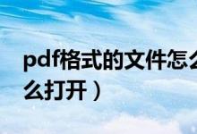 pdf格式的文件怎么制作（pdf格式的文件怎么打开）