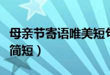 母亲节寄语唯美短句（母亲节赞美母亲的话语简短）