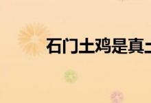 石门土鸡是真土鸡吗（石门土鸡）