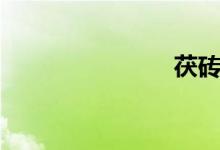 茯砖（茯砖）