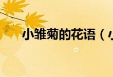 小雏菊的花语（小雏菊的花语是什么）