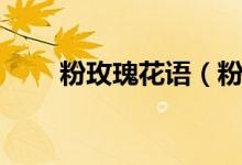 粉玫瑰花语（粉玫瑰的花语是什么）