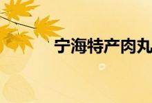 宁海特产肉丸做法（宁海特产）