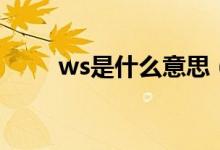 ws是什么意思（ws是指什么意思）
