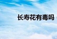 长寿花有毒吗（长寿花有没有毒）