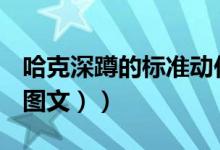 哈克深蹲的标准动作（哈克深蹲的标准动作（图文））