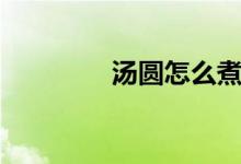 汤圆怎么煮（怎么煮汤圆）